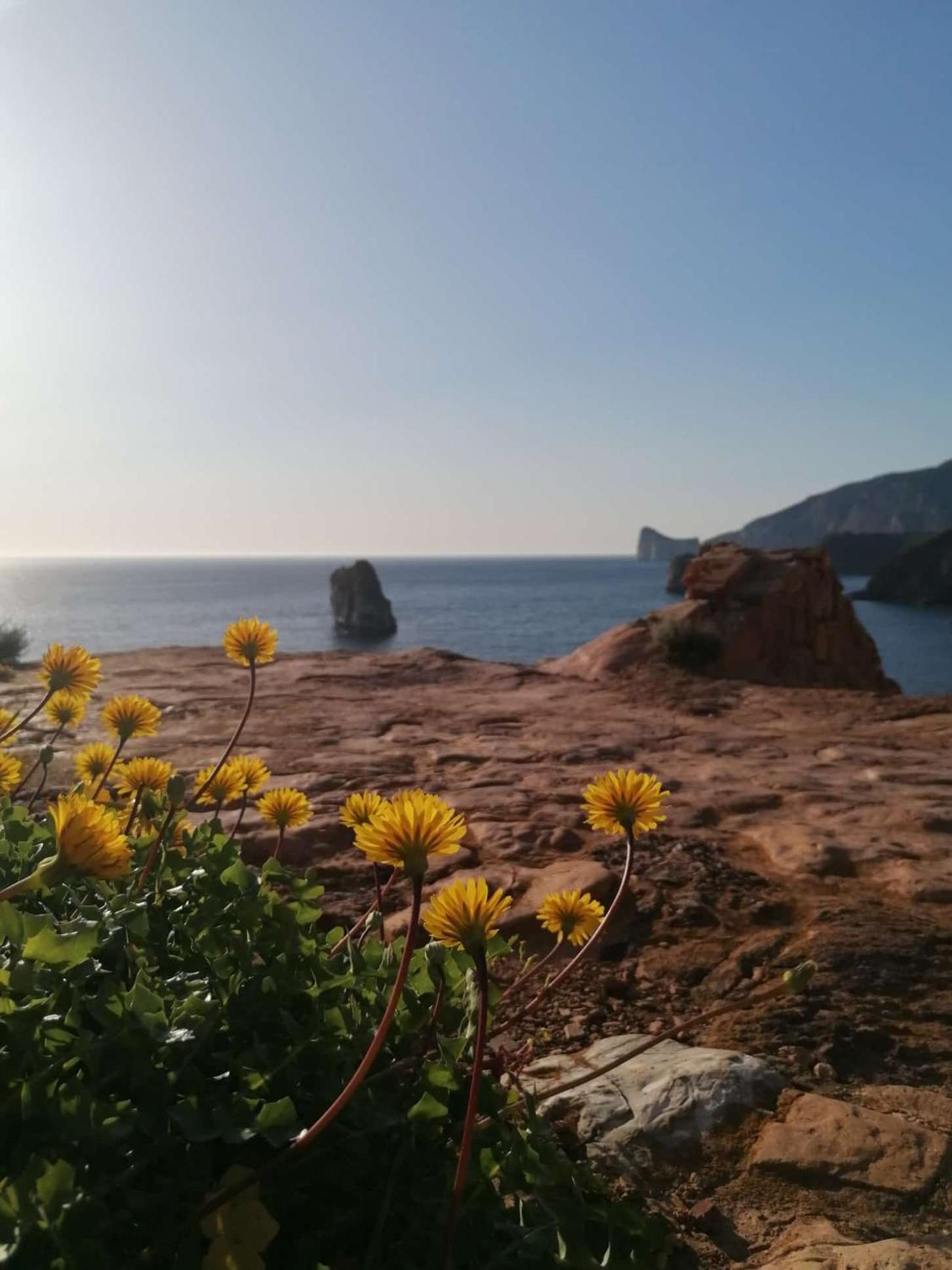 B&B Sa Turre Iglesias Zewnętrze zdjęcie